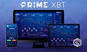 Discover the Benefits of PrimeXBT Promo Codes Discover the Benefits of PrimeXBT Promo Codes