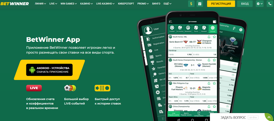 Complete Guide to BetWinner Casino IT Games, Bonuses, and More