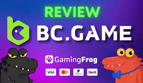 Todo lo que necesitas saber sobre BC.Game Crash 0