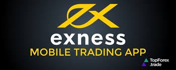 Exness Limited Reviews A Comprehensive Analysis