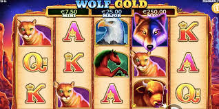 신비로운 세계의 Wolf Gold 개와 황금의 만남 신비로운 세계의 Wolf Gold 개와 황금의 만남